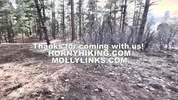 Risky fucking in the Grand Canyon- Molly Pills & Horny Hiking