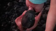 public blowjob on the beach with cum on tits