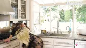 Alexis Fawx, Kit Mercer & Macy Meadows Enjoy Stepfamily Lesbian Fuck - A GIRL KNOWS