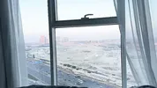 Fucking in a penthouse
