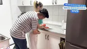 The Chilean tomato peeler remake by GATITAVEVEVE