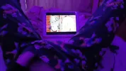 Rating hentai based on how fast they make me cum by touching my pussy pov