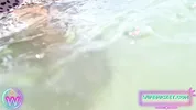 Wifebucket Amateurs - Sea water and sun made her bubble but to glisten so tempting