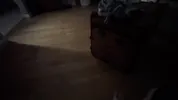 StepSister Comes Home From Party and Let’s me Fuck Her