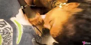 Timid Alt Girl Sloppy BJ to Hard Interracial Pounding