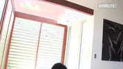 Curvy Latina Gets Her Oiled Ass Spread... Then Drops to Her Knees