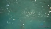 POV - After a naked swim in the ocean, you take Jayde Symz back to the hotel for a smoke and some naked one on one time.
