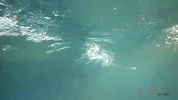 POV - After a naked swim in the ocean, you take Jayde Symz back to the hotel for a smoke and some naked one on one time.