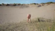 LUCKY VOYEUR FUCKS A BIG ASS STRANGER ON THE NUDIST BEACH WHILE SHE'S DOING NAKED YOGA... BIG CREAMPIE