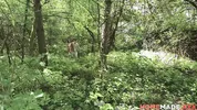 HomemadeXXX - Sakura Hell and Pavlos set up tent to record camping sex