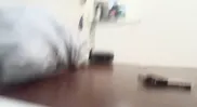 Homemade Passionate Amateur Sex with hot Argntinian and Mexican