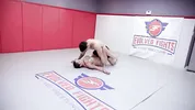 Jazmine Cruz vs Arin Jones