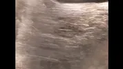 Fucking on the Hood of the Volkswagen Rabbit. Naked at the Springs