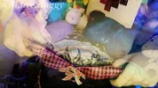 Beautiful blonde alternative sucks and gets cum on it - M3treSluggy