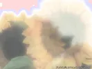 Japanese teens ravaged hard and screaming