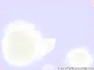 Japanese teens ravaged hard and screaming