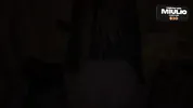 My friend came over to play on my computer, but the game quickly took a back seat - miulio