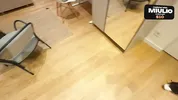 My friend came over to play on my computer, but the game quickly took a back seat - miulio