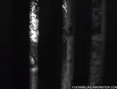 Sushi covered anime teen is clit tortured
