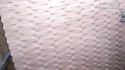 Oiled Ass Latina Gets Pussy Fingered in Doggy... Then Kneels to Suck Cock
