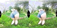 Fun in the nature