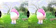 Fun in the nature