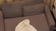 Dick riding Big tits Big booty Perfect Body Pretty Black Girl Blowjob Big Black Dick with Backshots
