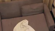 Dick riding Big tits Big booty Perfect Body Pretty Black Girl Blowjob Big Black Dick with Backshots