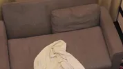 Dick riding Big tits Big booty Perfect Body Pretty Black Girl Blowjob Big Black Dick with Backshots