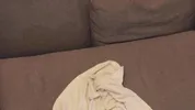 Dick riding Big tits Big booty Perfect Body Pretty Black Girl Blowjob Big Black Dick with Backshots