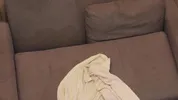 Dick riding Big tits Big booty Perfect Body Pretty Black Girl Blowjob Big Black Dick with Backshots