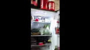 I had a huge fuck with my bodybuilder stepmom after coming home from work.
