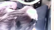 I called a country girl to the parking lot and she gave me a blowjob and swallowed my cum