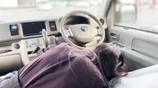I called a country girl to the parking lot and she gave me a blowjob and swallowed my cum