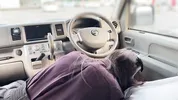I called a country girl to the parking lot and she gave me a blowjob and swallowed my cum