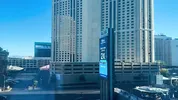 A Vibe And A Creampie In Vegas