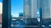 A Vibe And A Creampie In Vegas