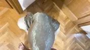 Türbanlı Üvey Annemin Kocası Eve Gelmeden İçine Geldim