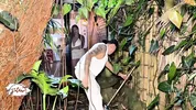Voluptuous Boss asks her gardener to have sex with her so he can keep his Job - Savannah Watson