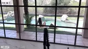 My Voyeur Boyfriend Can't Resist Me At The Pool - Sloppy Blowjob
