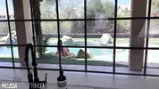 My Voyeur Boyfriend Can't Resist Me At The Pool - Sloppy Blowjob