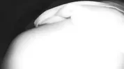 Friends fuck my wife in all holes. Real cheating