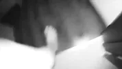 Friends fuck my wife in all holes. Real cheating