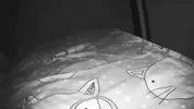 Friends fuck my wife in all holes. Real cheating