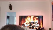 Honry amateur couple have morning sex on the sofa and both orgasm together
