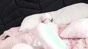 Mi Skinny Stepsister in Tied Corset Gets Pussy Creampie
