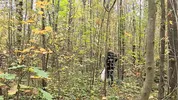 A forest whore seduced a forester with a big dick