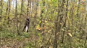 A forest whore seduced a forester with a big dick