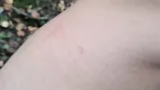 A forest whore seduced a forester with a big dick