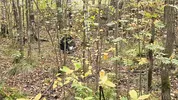 A forest whore seduced a forester with a big dick